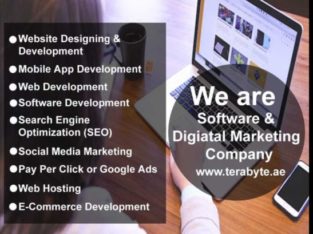 Why should hire website development company in Dubai