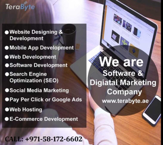Why should hire website development company in Dubai