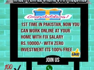 online fix salary job