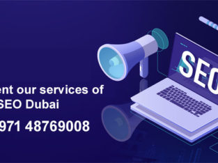 Implement our services of SEO Dubai to make your business get more cus