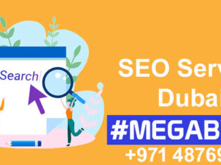 How Megabyte is the best match for your need for SEO Service Dubai?