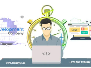 Website Development Company in Sharjah – Get the best quotes from Tera