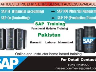 SAP Fi Co MM PP and SD modules training online instructor led