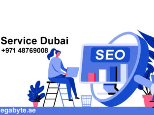 What different ways of SEO Service Dubai does Megabyte use to improve