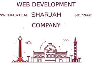 Terabyte: The Best Web Development Companies in Sharjah