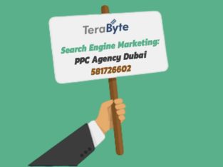 Search Engine Marketing: PPC Agency in Dubai