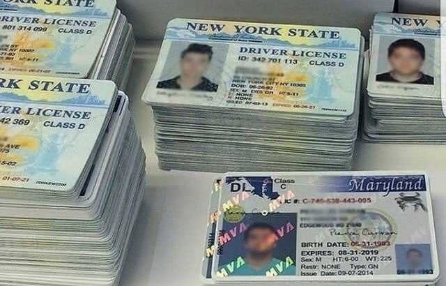 Buy novelty driving license, ID