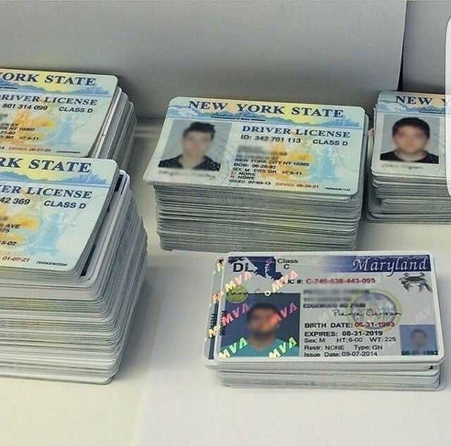 Buy novelty driving license, ID