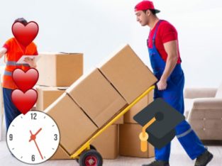 GOODWELL MOVERS PACKERS AND SHIFTING REMOVALS 0502922035