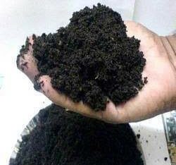vermicompost fertilizer 10 kg