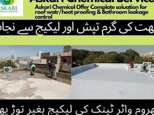 Roof Water Proofing Roof Heat Proofing