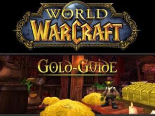 Hayden’s World Of Warcraft Secret Gold Guide