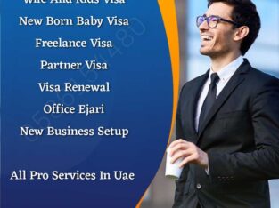 Visa Services
