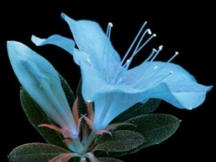 part time or full time job