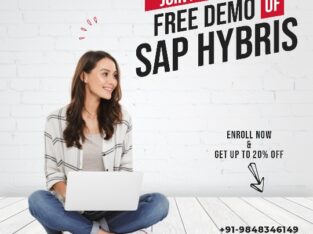 SAP HYBRIS FREE DEMO SESSION