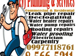 EVJ Plumbing and Services