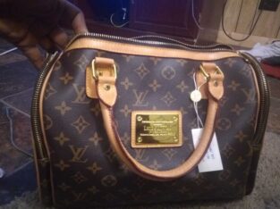 new louis vuitton handbag need money for home in food asking for help trying to sell