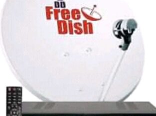 DD Free Dish Connection