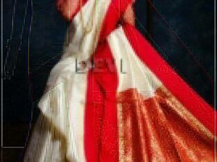 Fashionable Banarasi Kanjivaram Silk Saree