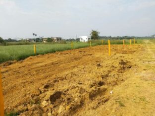 New DTCP APPROVED PLOTS @ VANDALUR