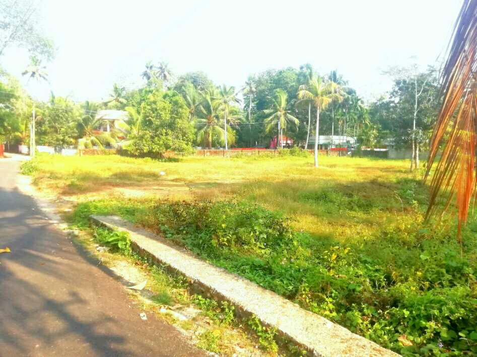 Residential/Commercial Plot for sale in Vaikom