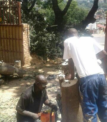 ELIAS TREE FELLING SERVICES.