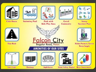 Falcon city