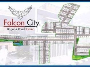 Falcon city Dublex villa