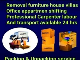 professional mover packer service