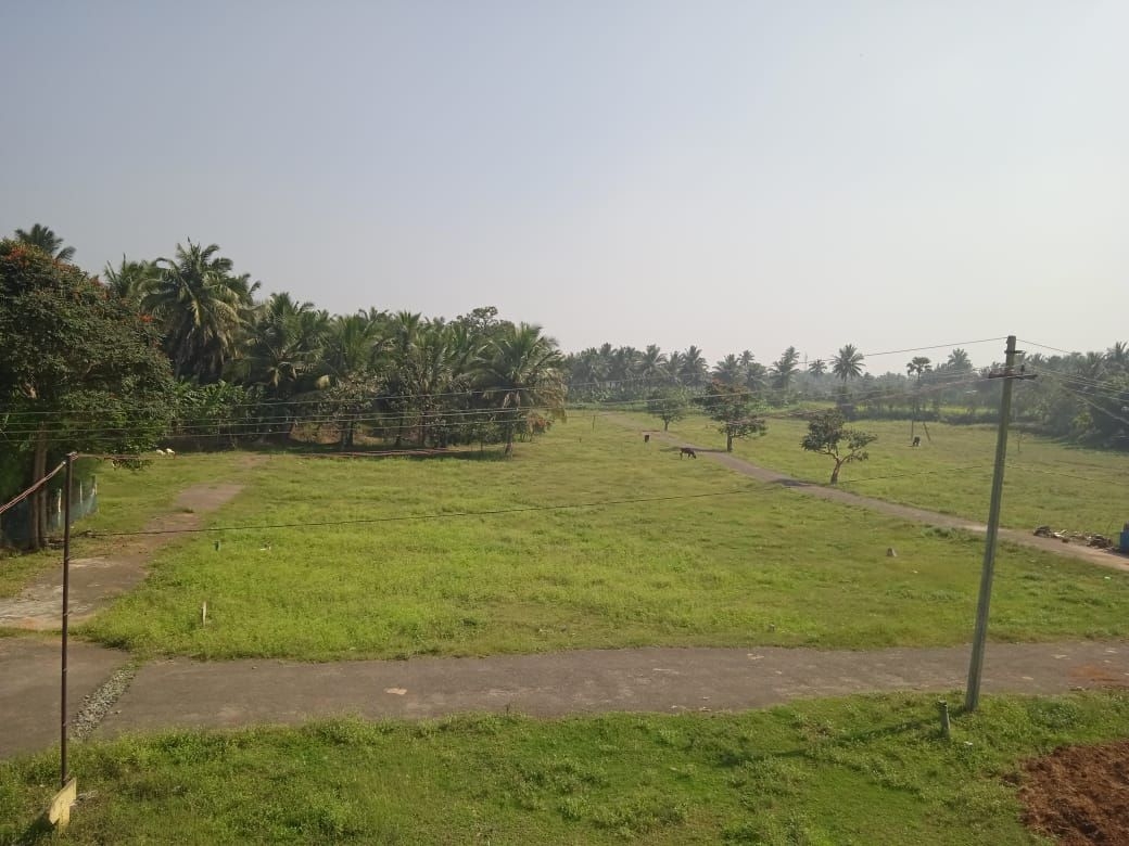 1575 sqft DTCP plots available in mayileripalayam offer price for per cent 1.99 lakhs