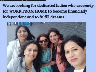 work from home for womens