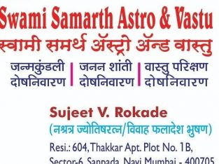 Astro and Vastu consultant