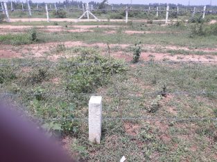 400 Sq Yds open plot 4km from Thumkunta at Anthaipally