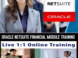 Oracle netsuite oneworld financial module training online