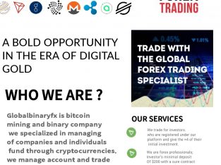 Crypto Trading/ Bitcoin Mining