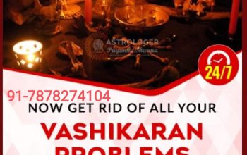 INDIAN ASTROLOGISTCALL NOW:  +91-7878274104ALL PROBLEMS SOLUTION HERE WHATSAPP+91-7878274104