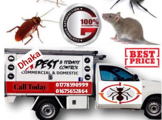 Pest Control Service Dhaka