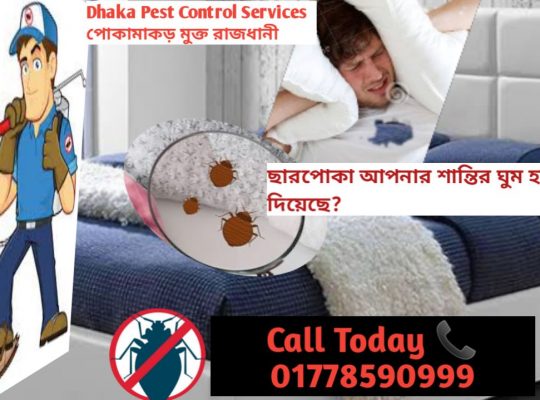 Pest Control Service, Dhaka, Bangladesh