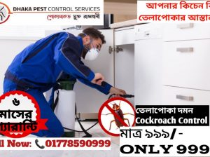 Pest Control Service, Dhaka, Bangladesh