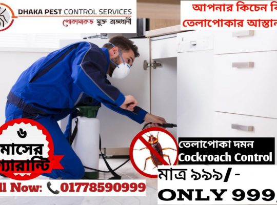 Pest Control Service, Dhaka, Bangladesh