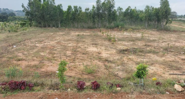 SANDAL NEST FARM HOUSE