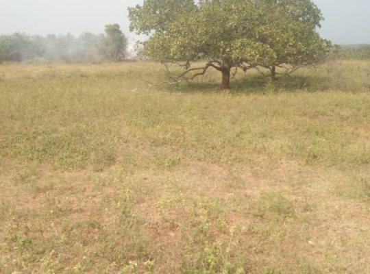Agriculture land for sale in near vathalakundu, dindigul district