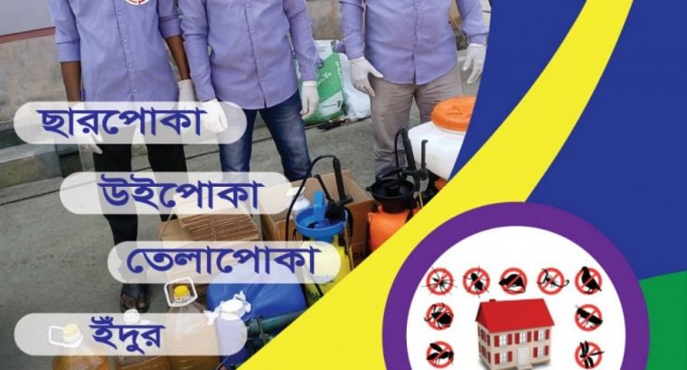 Pest Control Service Dhaka Bangladesh