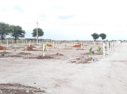 Managed agriculture farm land