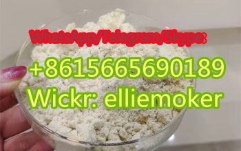 High Yield Rate New PMK Ethyl Glycidate Powder Cas 13605-48-6