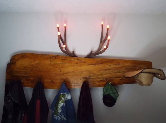 Deer antler Lights