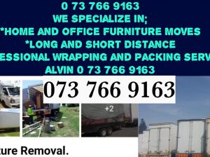 TRUCK FOR HIRE BUSINESS AND INDUSTRIAL SERVICES SAME-DAY DELIVERY SERVICES