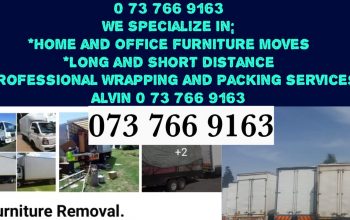 TRUCK FOR HIRE BUSINESS AND INDUSTRIAL SERVICES SAME-DAY DELIVERY SERVICES