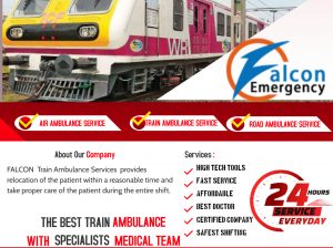 Experience Best Patient Transport Service Offered by Falcon Emergency Train Ambulance in Delhi