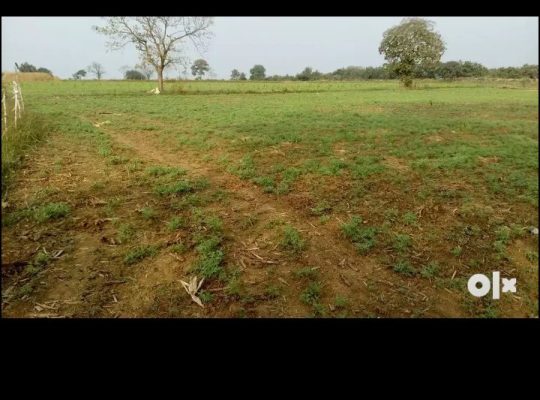 Multipurpose agriculture land 3Acre12guntas